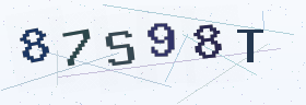 六位字母数字验证码