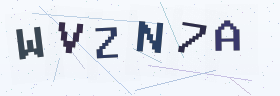 六位字母数字验证码
