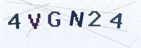六位字母数字验证码