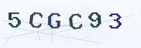 六位字母数字验证码