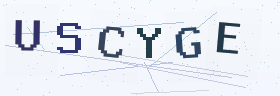 六位字母数字验证码