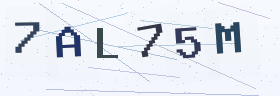 六位字母数字验证码