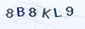 六位字母数字验证码
