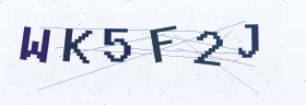 六位字母数字验证码