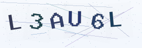 六位字母数字验证码