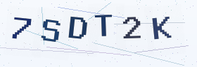 六位字母数字验证码