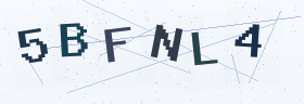六位字母数字验证码