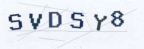 六位字母数字验证码