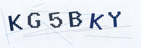 六位字母数字验证码