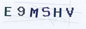 六位字母数字验证码