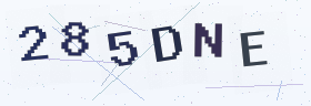 六位字母数字验证码