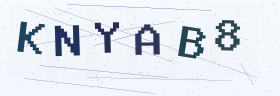 六位字母数字验证码