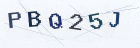 六位字母数字验证码