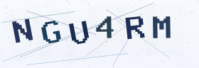 六位字母数字验证码