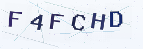 六位字母数字验证码