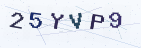六位字母数字验证码