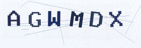 六位字母数字验证码