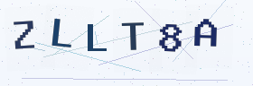 六位字母数字验证码