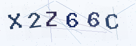 六位字母数字验证码