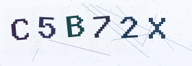 六位字母数字验证码
