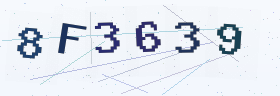 六位字母数字验证码