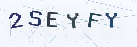 六位字母数字验证码
