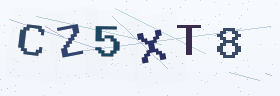 六位字母数字验证码