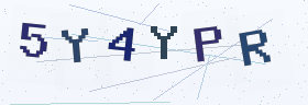 六位字母数字验证码
