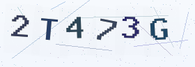 六位字母数字验证码