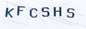 六位字母数字验证码