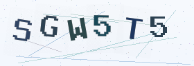 六位字母数字验证码
