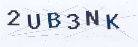 六位字母数字验证码