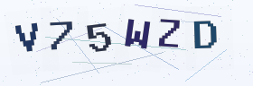 六位字母数字验证码