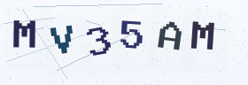六位字母数字验证码