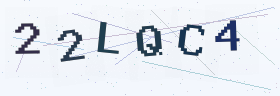六位字母数字验证码
