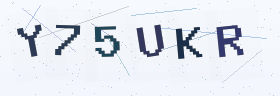 六位字母数字验证码