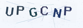 六位字母数字验证码