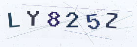 六位字母数字验证码