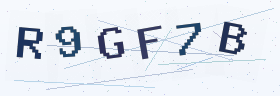 六位字母数字验证码