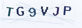 六位字母数字验证码