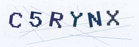 六位字母数字验证码