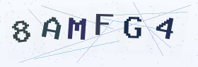 六位字母数字验证码