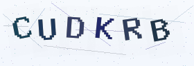 六位字母数字验证码