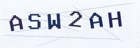 六位字母数字验证码