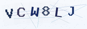 六位字母数字验证码
