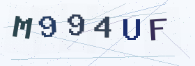六位字母数字验证码
