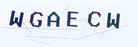 六位字母数字验证码