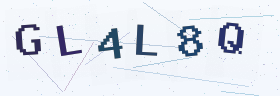 六位字母数字验证码