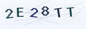 六位字母数字验证码