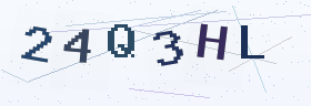 六位字母数字验证码